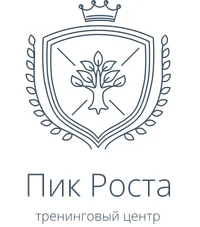 Маркетинговое агентство «Пик Роста»